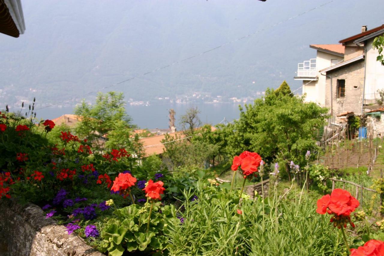Il Mulino Di Hotel Villa Aurora Nesso Ngoại thất bức ảnh